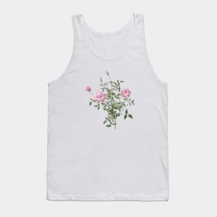 Vintage Blooming Dwarf Rosebush Botanical Illustration Tank Top